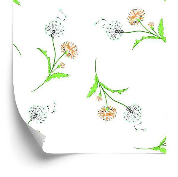 Behang Kleurrijke Paardebloemen