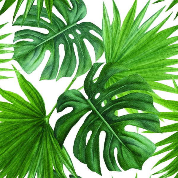 Behang Groene Bladeren - Afbeelding 2