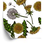 Behang Bloeiende Paardebloemen