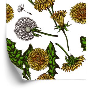 Behang Bloeiende Paardebloemen