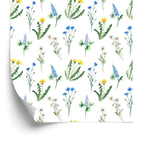 Behang Madeliefje Met Wilde Bloemen