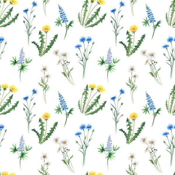 Behang Madeliefje Met Wilde Bloemen - Afbeelding 2