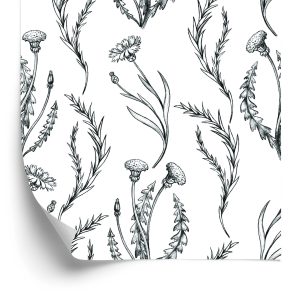 Behang Vintage Paardebloemen