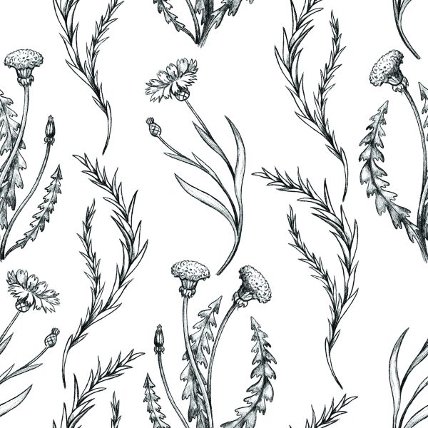 Behang Vintage Paardebloemen - Afbeelding 2