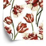 Behang Rode En Witte Tulpen