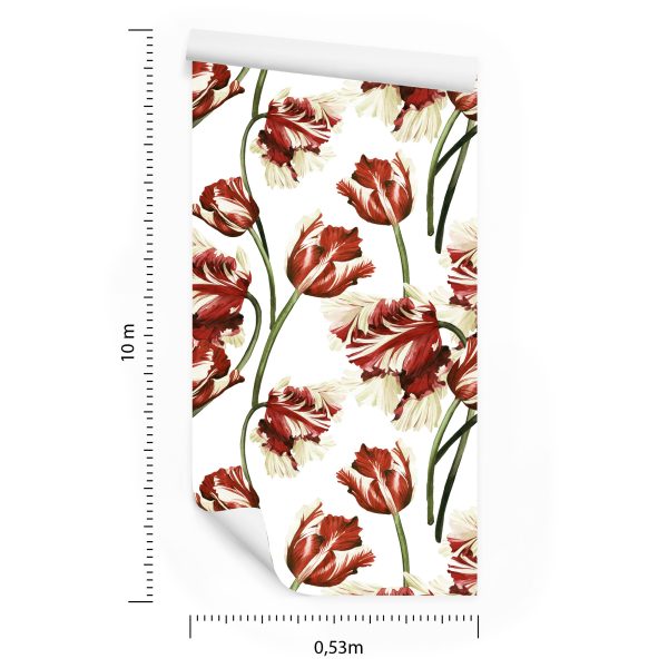 Behang Rode En Witte Tulpen - Afbeelding 8