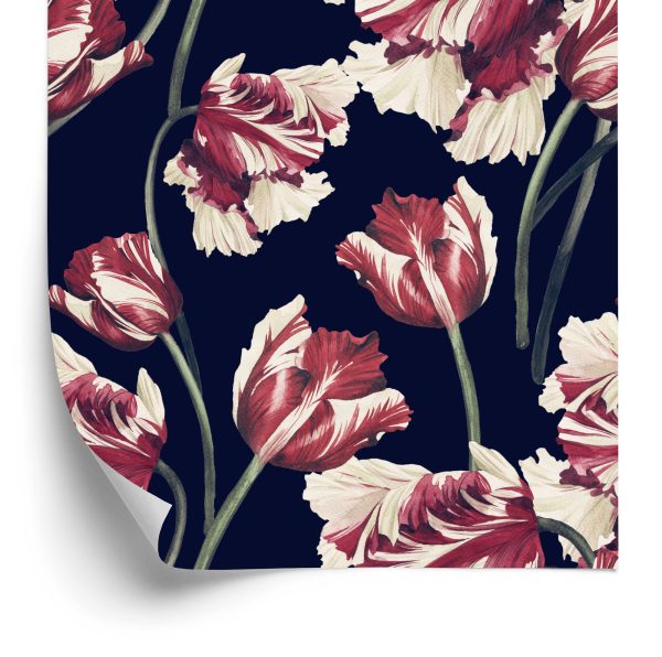 Behang Rode En Witte Tulpen