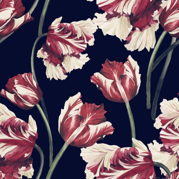 Behang Rode En Witte Tulpen - Afbeelding 2