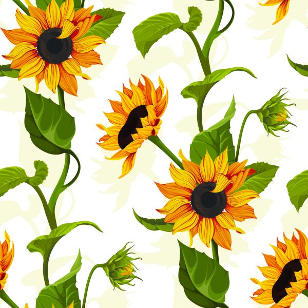 Behang Grote Zonnebloemen Met Bladeren - Afbeelding 2