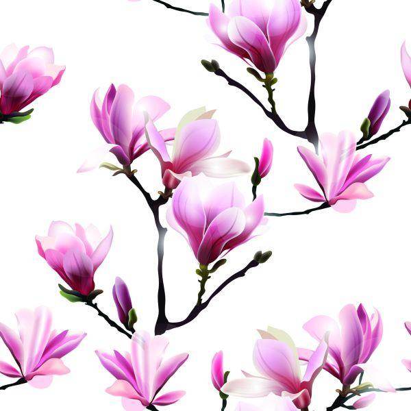 Behang Roze Magnolia Bloemen - Afbeelding 2