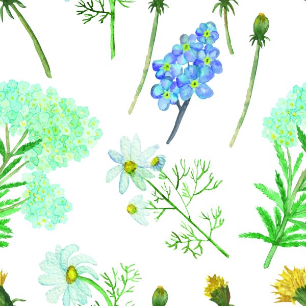 Behang Bloemen En Kruiden - Afbeelding 2