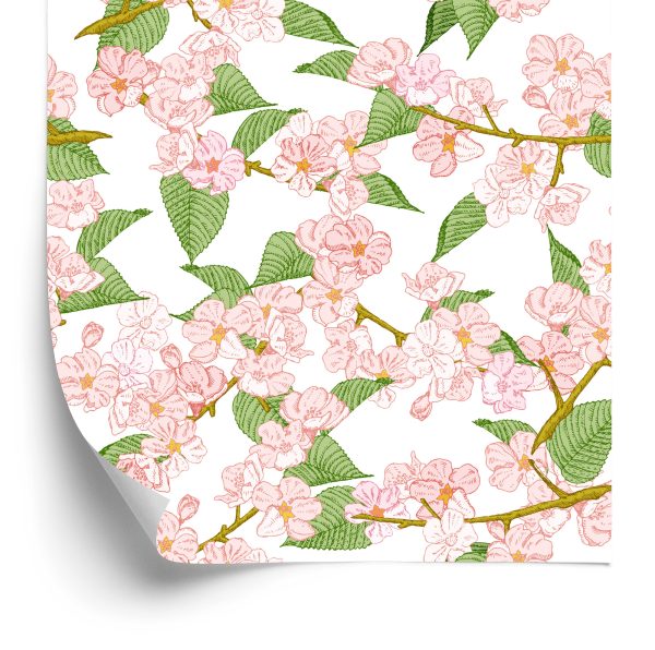 Behang Lente Kersenbloesems