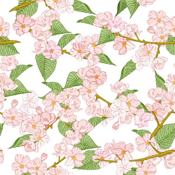 Behang Lente Kersenbloesems - Afbeelding 2