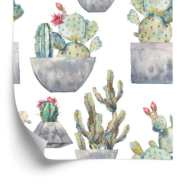 Behang Cactus Met Bloemen