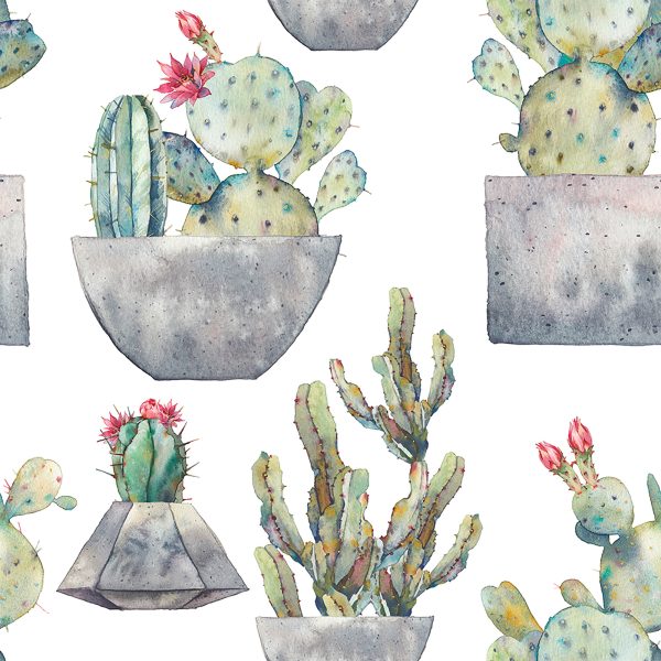 Behang Cactus Met Bloemen - Afbeelding 2