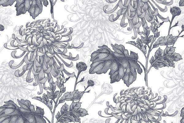 Behang Zwart-Witte Chrysanten - Afbeelding 2