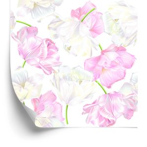 Behang Roze En Witte Tulpen