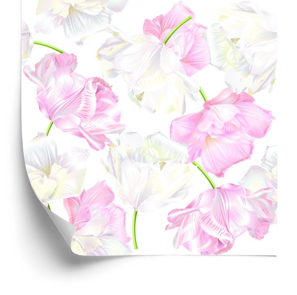 Behang Roze En Witte Tulpen