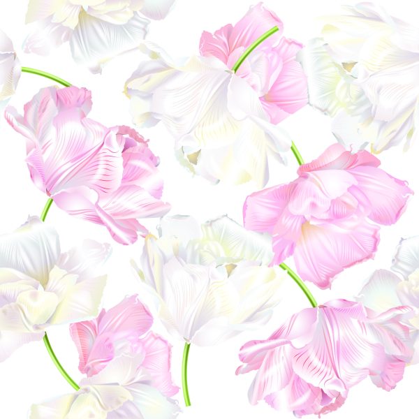 Behang Roze En Witte Tulpen - Afbeelding 2