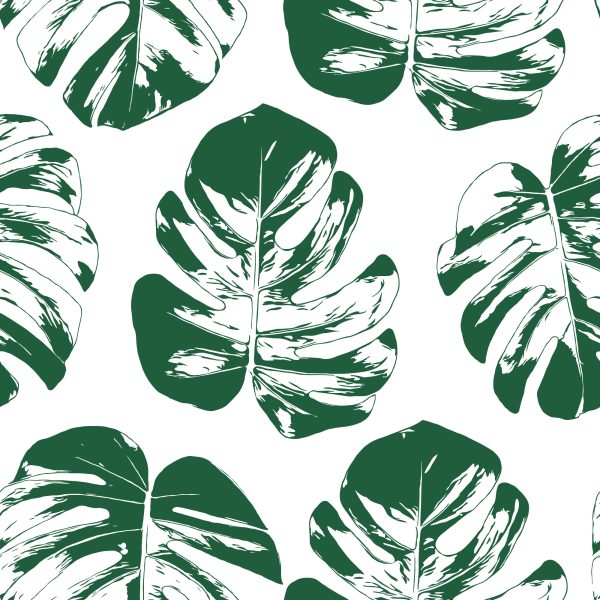Behang Groen-Witte Bladeren - Afbeelding 2