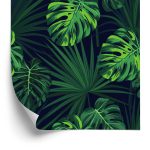 Behang Tropische Monstera-Bladeren Op Donkere Achtergrond