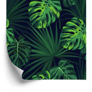 Behang Tropische Monstera-Bladeren Op Donkere Achtergrond