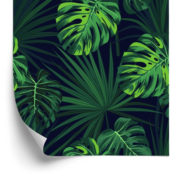 Behang Tropische Monstera-Bladeren Op Donkere Achtergrond