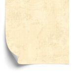 Behang Lichtbeige Beton