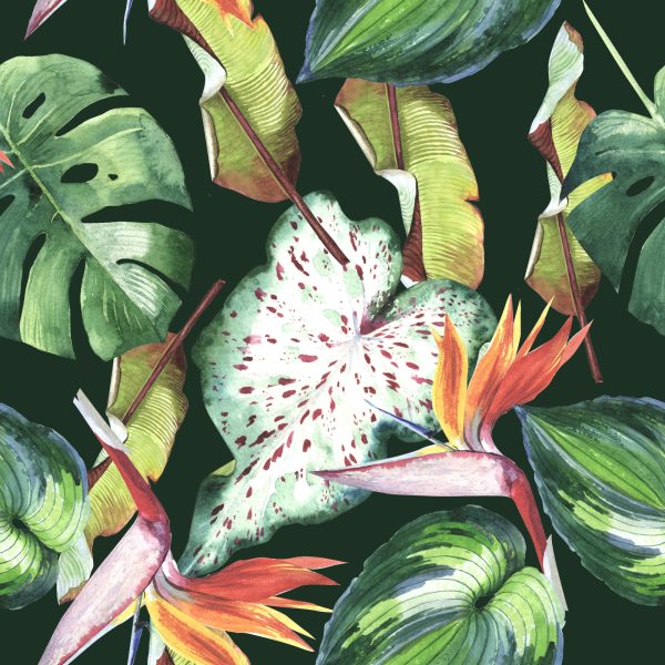 Behang Paradijsbloemen En Tropische Bladeren - Afbeelding 2