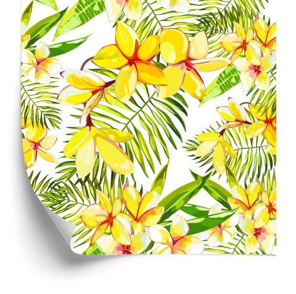 Behang Plumeria-Bloemen Met Palmbladeren