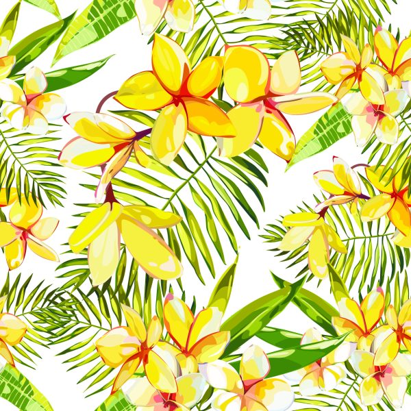 Behang Plumeria-Bloemen Met Palmbladeren - Afbeelding 2