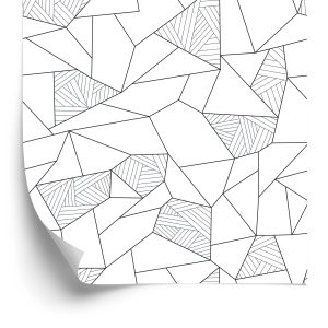 Behang Zwart-Wit Geometrisch Patroon