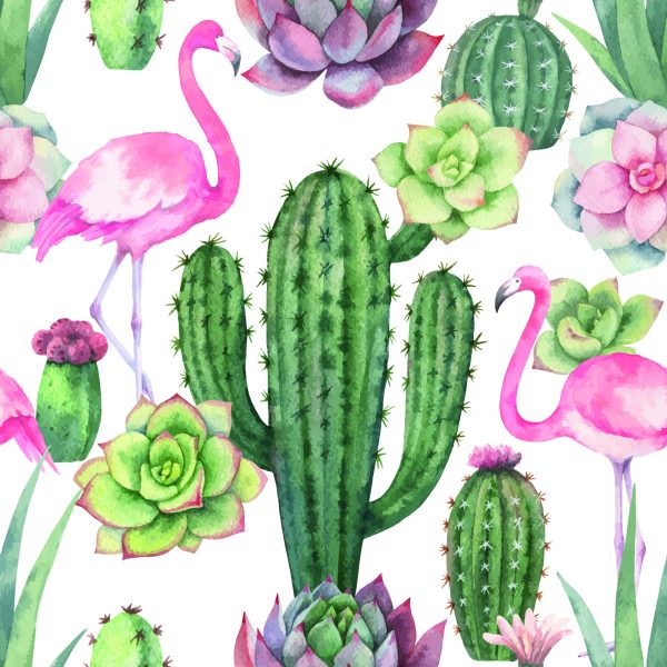 Behang Tropisch - Flamingo's, Cactussen En Vetplanten - Afbeelding 2