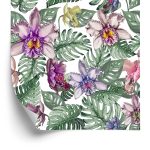 Behang Kleurrijke Orchideebloemen En Monstera-Bladeren