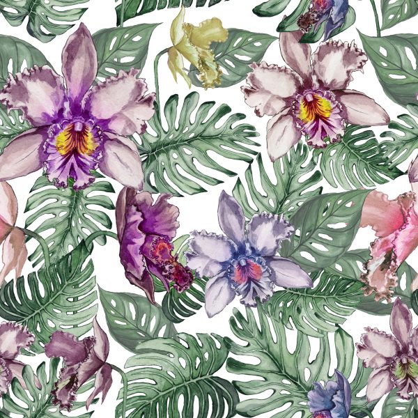 Behang Kleurrijke Orchideebloemen En Monstera-Bladeren - Afbeelding 2