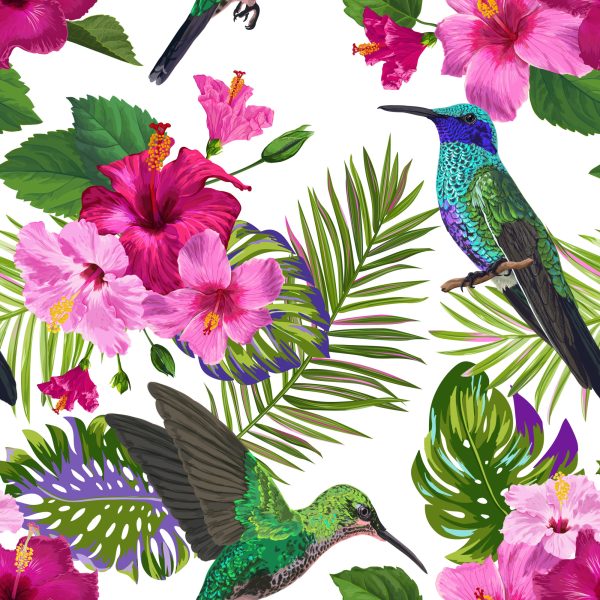 Behang Tropisch - Kleurrijke Kolibriebladeren En Bloemen - Afbeelding 2