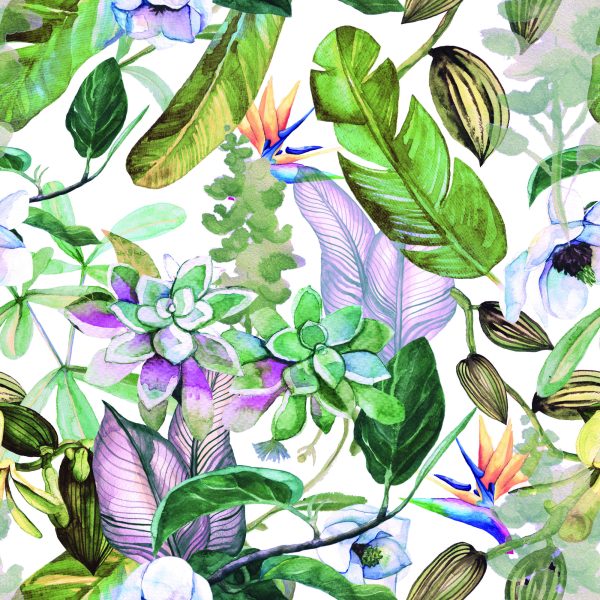 Behang Tropische Bladeren, Bloemen - Afbeelding 2