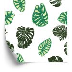 Behang Monstera En Alocasia Bladeren