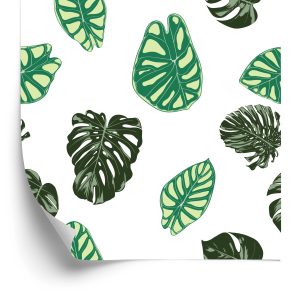 Behang Monstera En Alocasia Bladeren