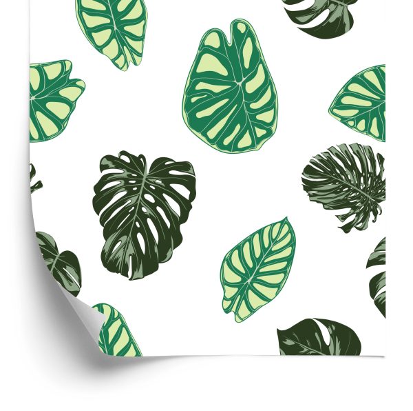 Behang Monstera En Alocasia Bladeren