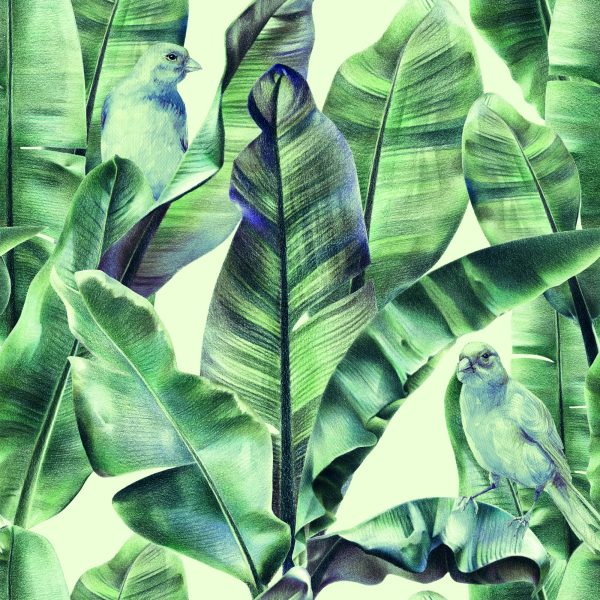 Behang Behang - Afbeelding 2