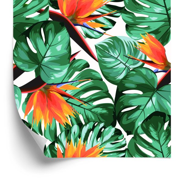 Behang Tropische Bladeren En Bloemen
