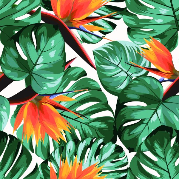 Behang Tropische Bladeren En Bloemen - Afbeelding 2