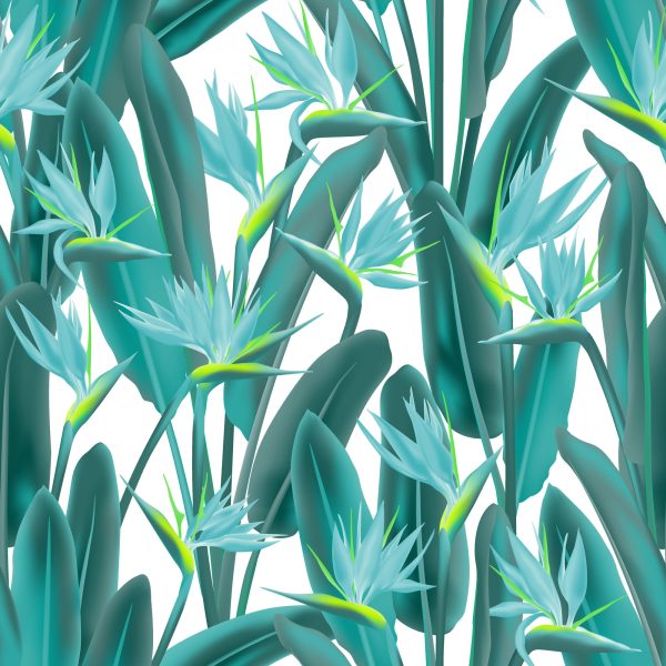 Behang Prachtige Exotische Bladeren En Bloemen - Afbeelding 2