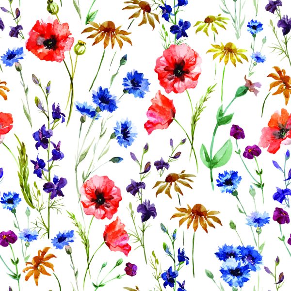 Behang Klaprozen, Korenbloemen En Kamille - Afbeelding 2