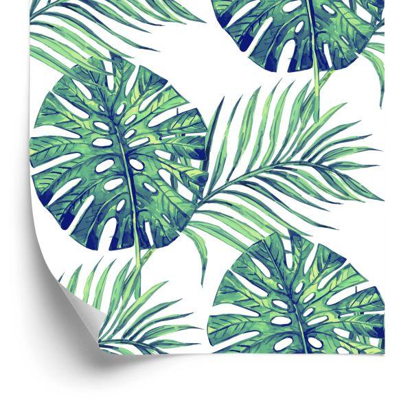 Behang Bladeren Van Exotische Planten / 241985020
