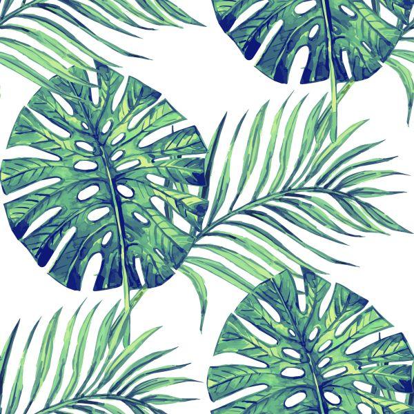 Behang Bladeren Van Exotische Planten / 241985020 - Afbeelding 2