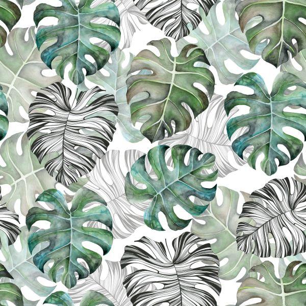 Behang Monstera Vertrekt - Afbeelding 2