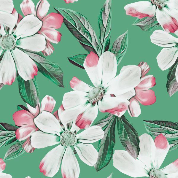 Behang Kleurrijke Kosmosbloemen - Afbeelding 2