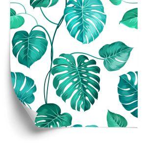 Behang Monstera Natura Bladeren